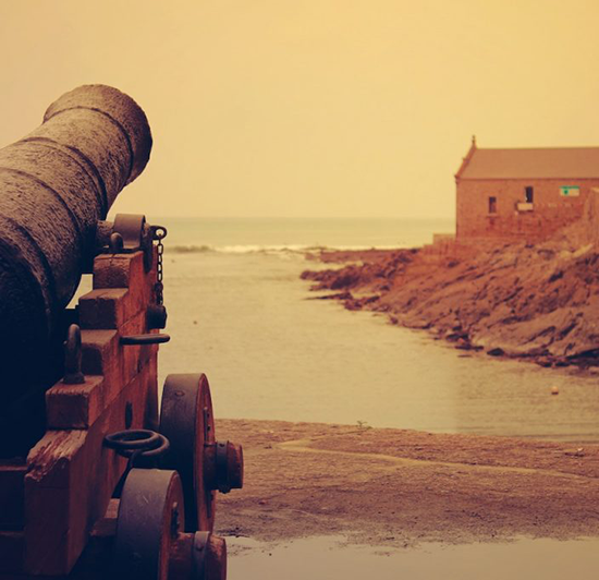 A Guerrilla Warfare on the BEE Battle Fields